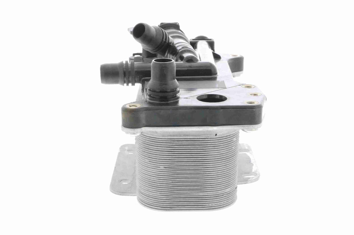 Oil Cooler, engine oil - V20-60-0059