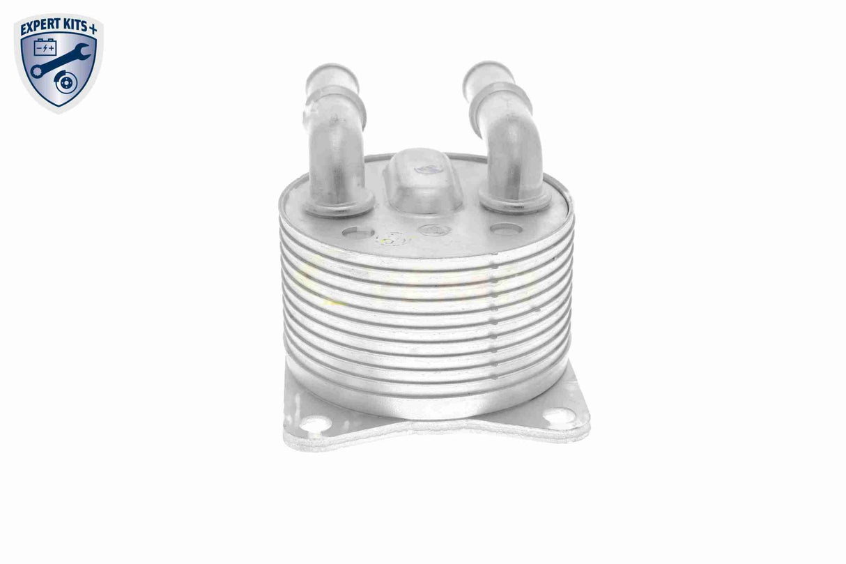 Oil Cooler, automatic transmission - V42-60-0012