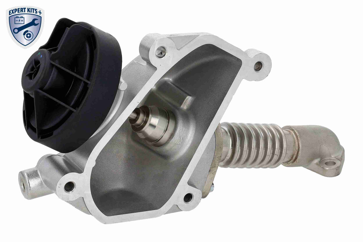 Valve, exhaust gas recirculation - V30-63-0004