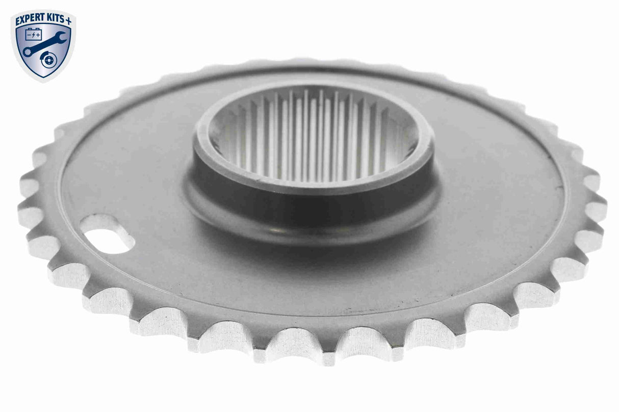 Timing Chain Kit - V10-10019