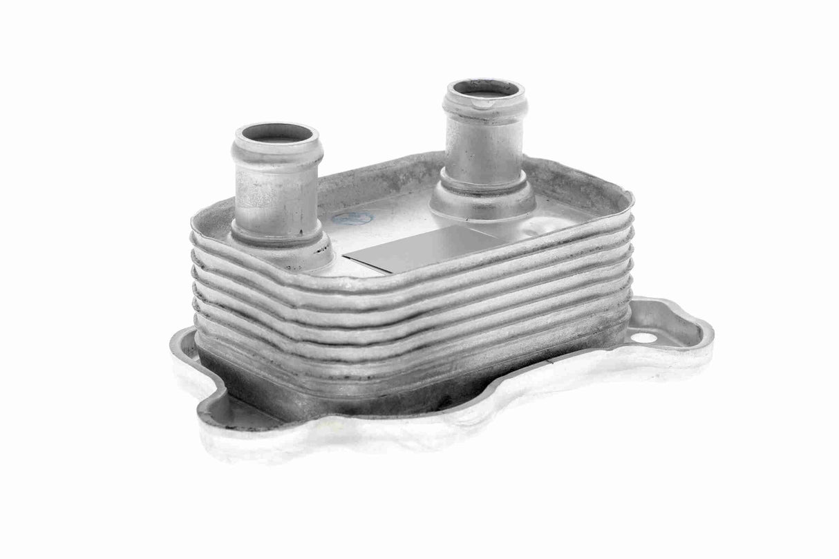 Oil Cooler, engine oil - V20-60-0051