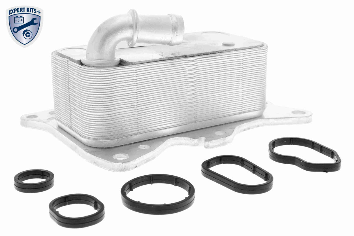 Oil Cooler, engine oil - V30-60-0007