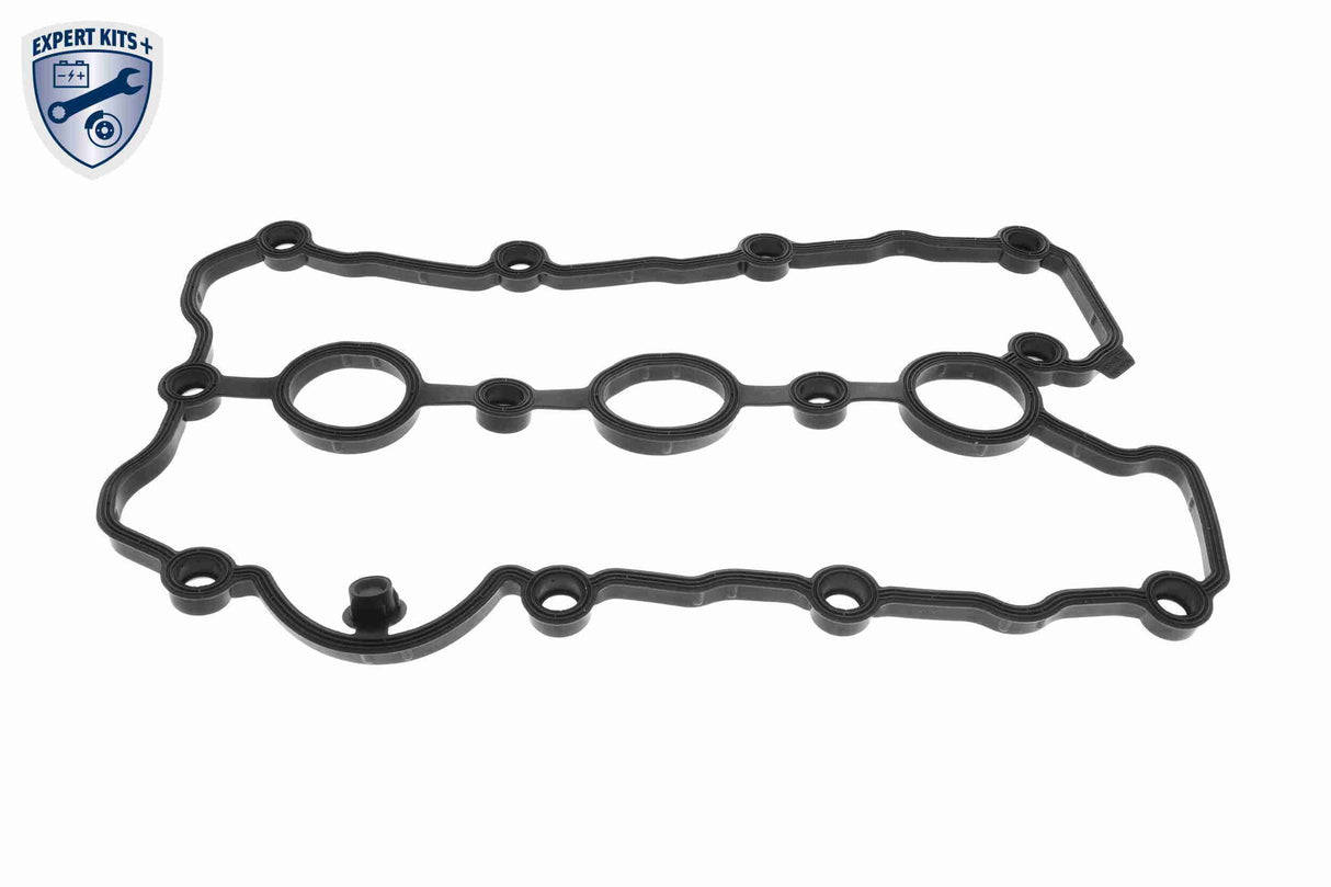 Timing Chain Kit - V10-10011