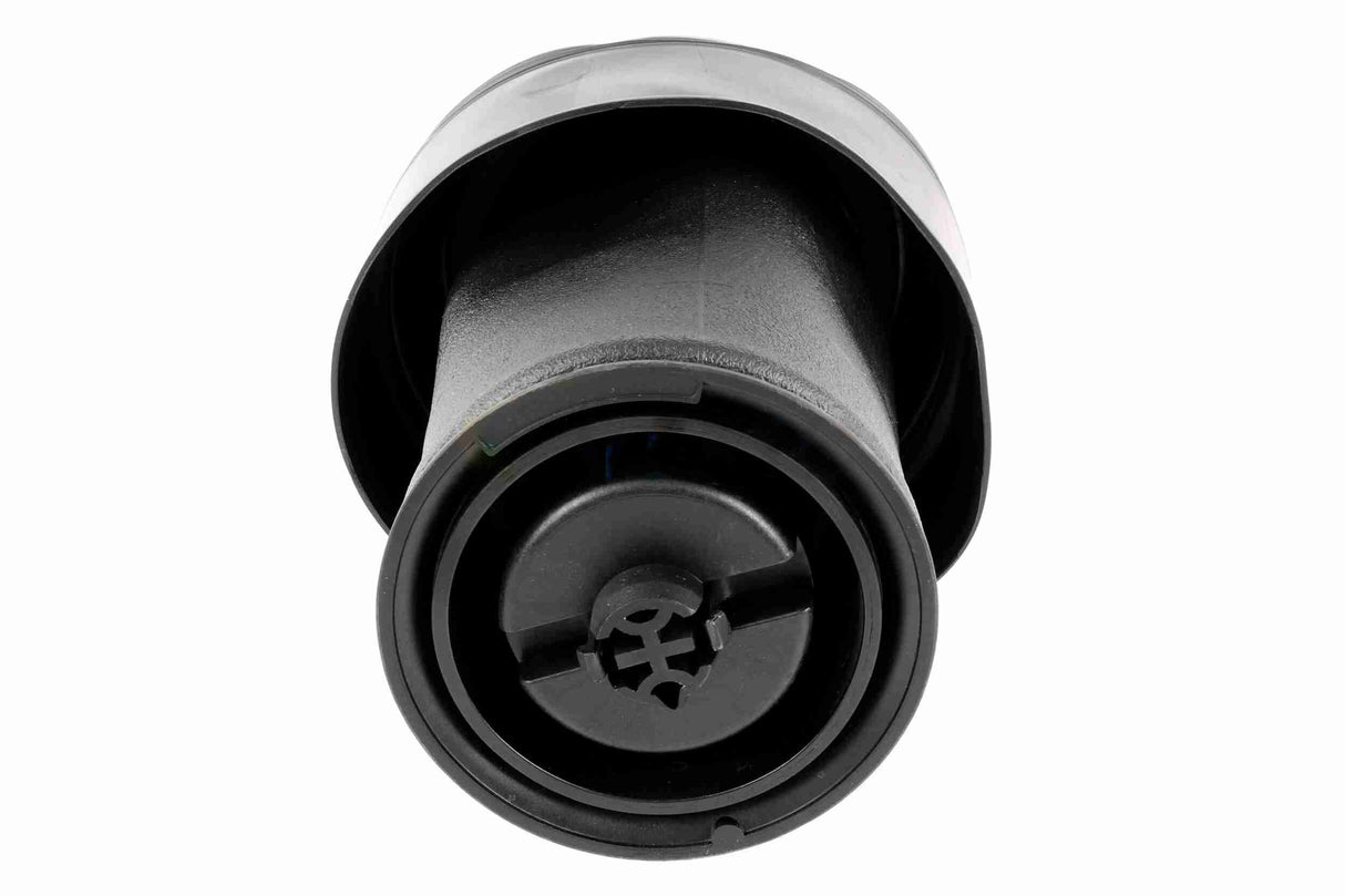 Air Suspension Strut - V20-50-0015-1