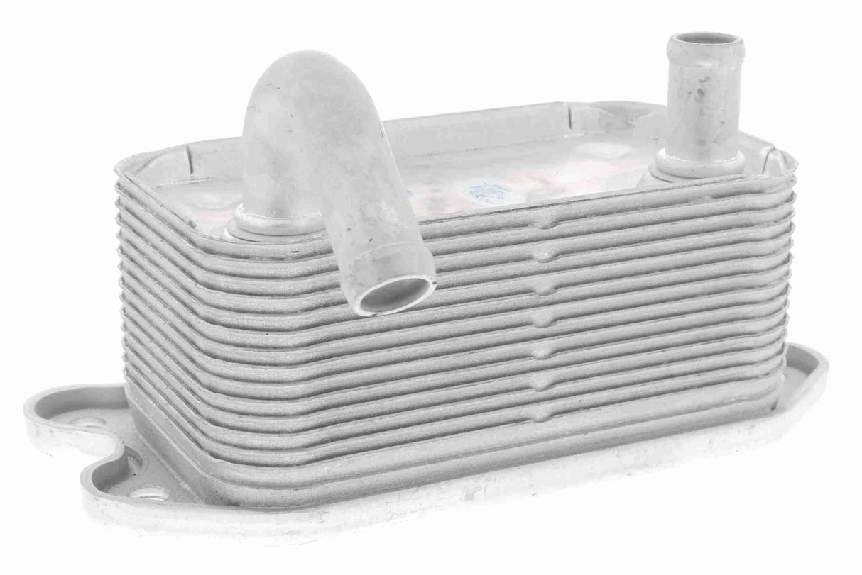 Oil Cooler, engine oil - V95-60-0020