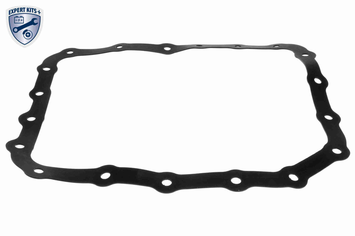 Parts Kit, automatic transmission oil change - V52-0470-XXL