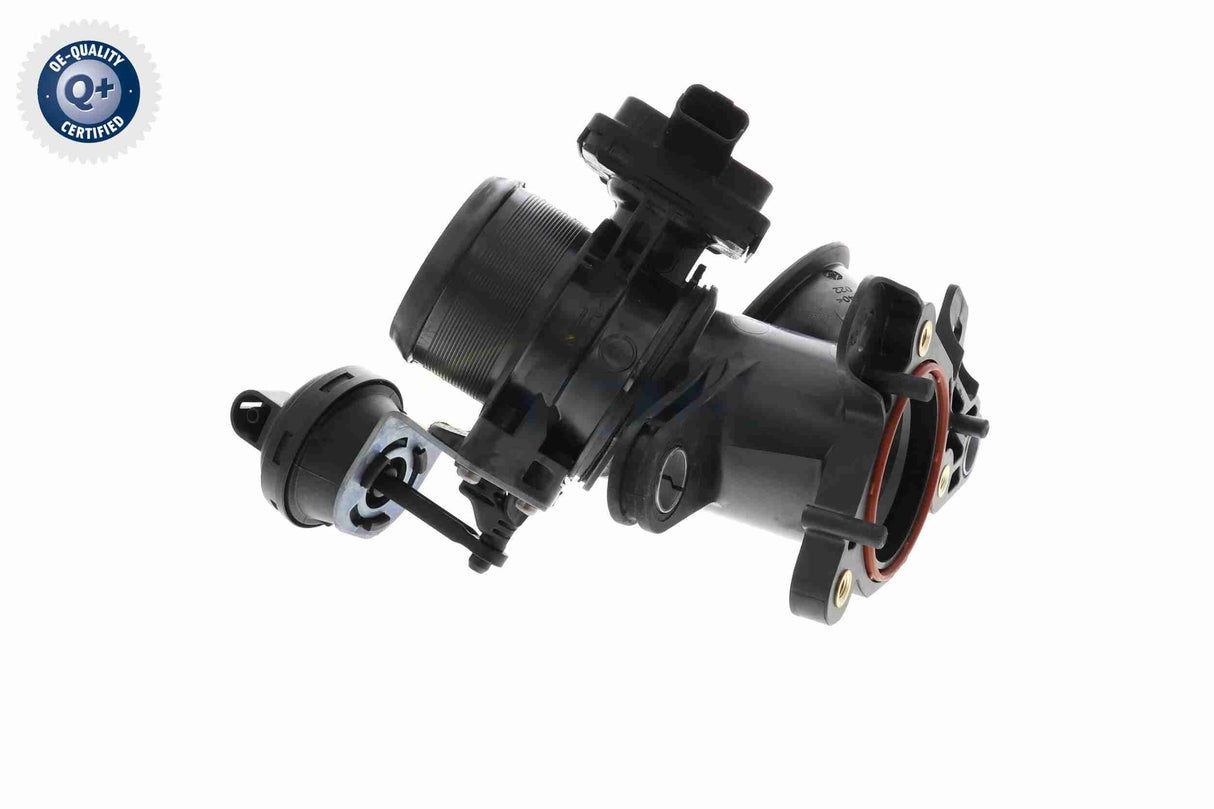 Throttle Body - V22-81-0006