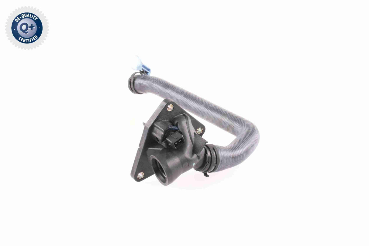 Radiator Hose - V20-2653