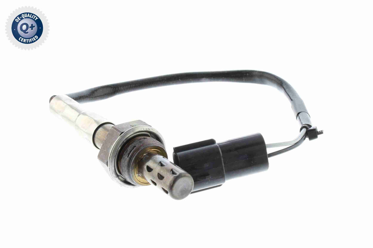 Oxygen Sensor - V51-76-0008