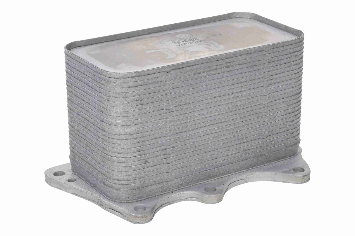 Oil Cooler, engine oil - V20-60-0077