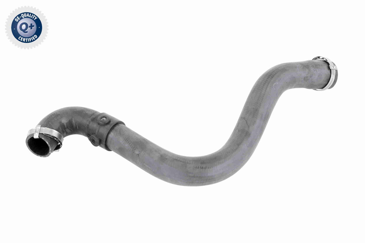 Charge Air Hose - V46-1234