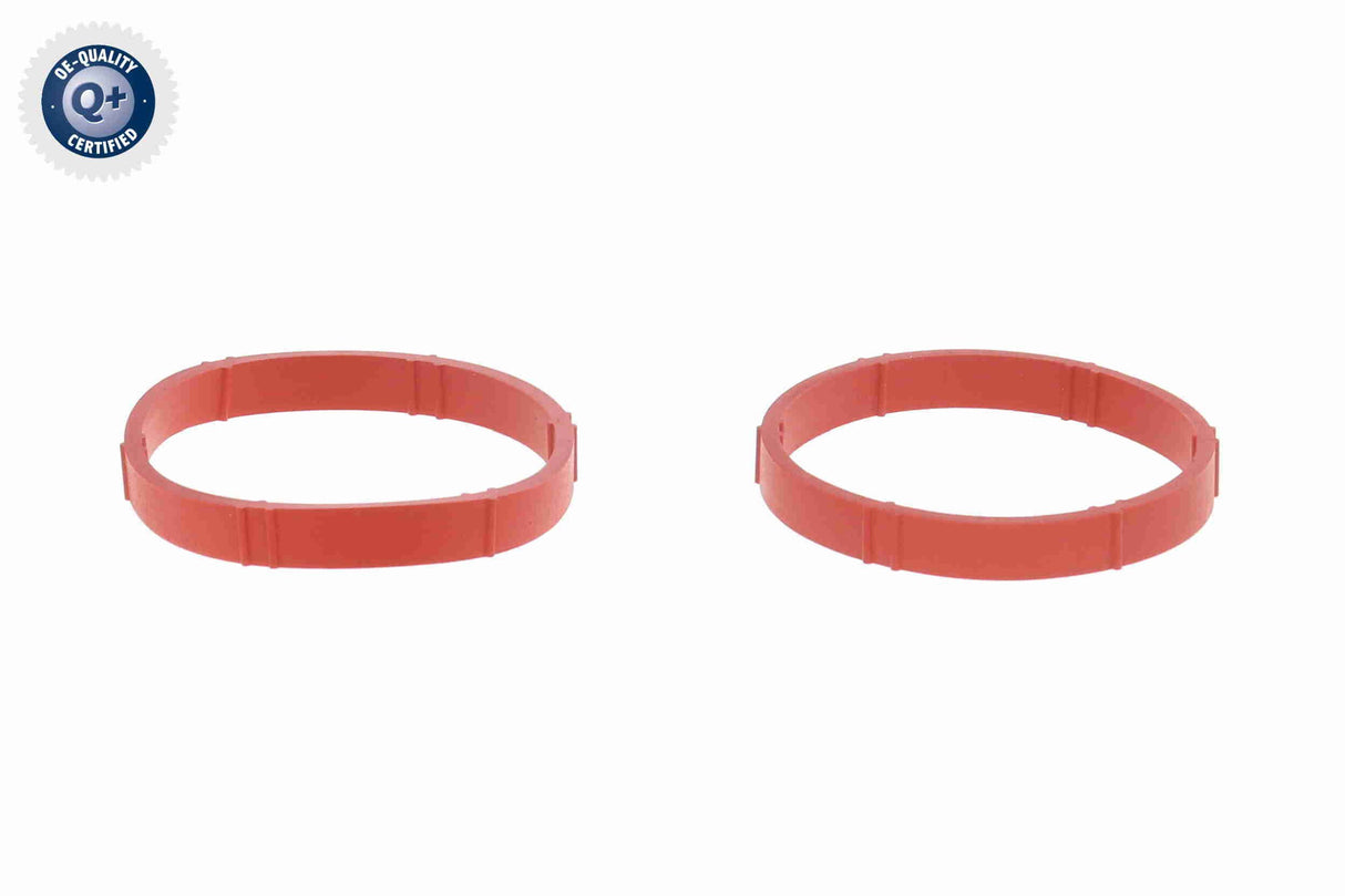 Throttle Body - V40-81-0033