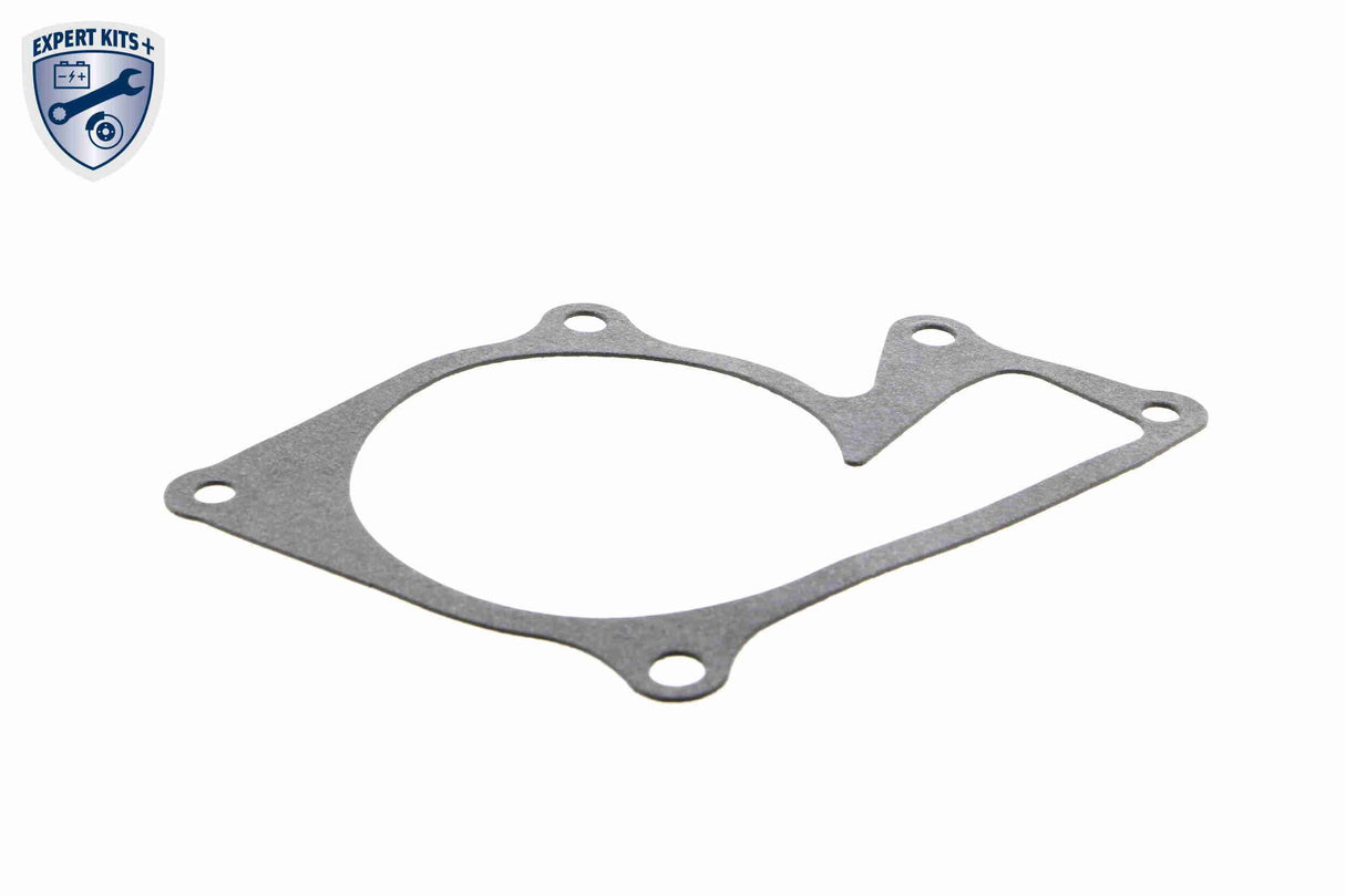 Water Pump & Timing Belt Kit - V46-50028