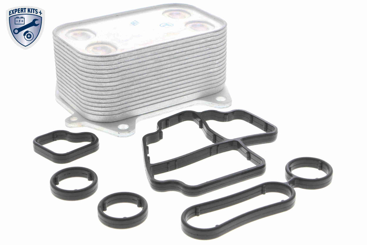 Oil Cooler, engine oil - V15-60-6061