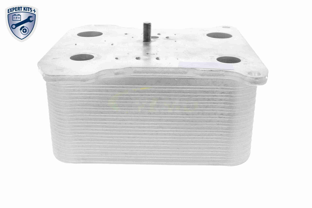 Oil Cooler, engine oil - V25-60-0042