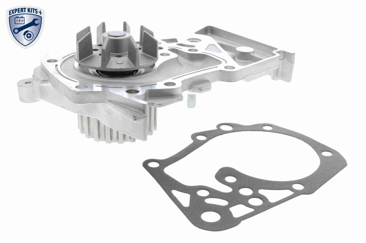 Water Pump & Timing Belt Kit - V46-50024