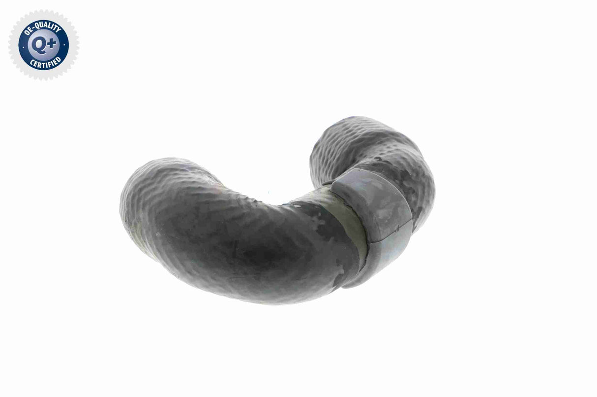 Radiator Hose - V20-2410