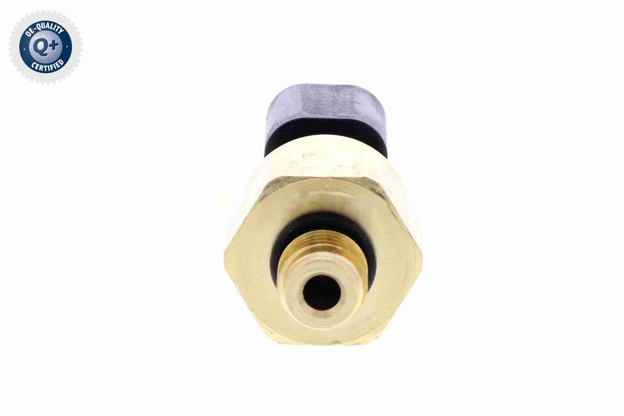 Oil Pressure Switch - V25-73-0131
