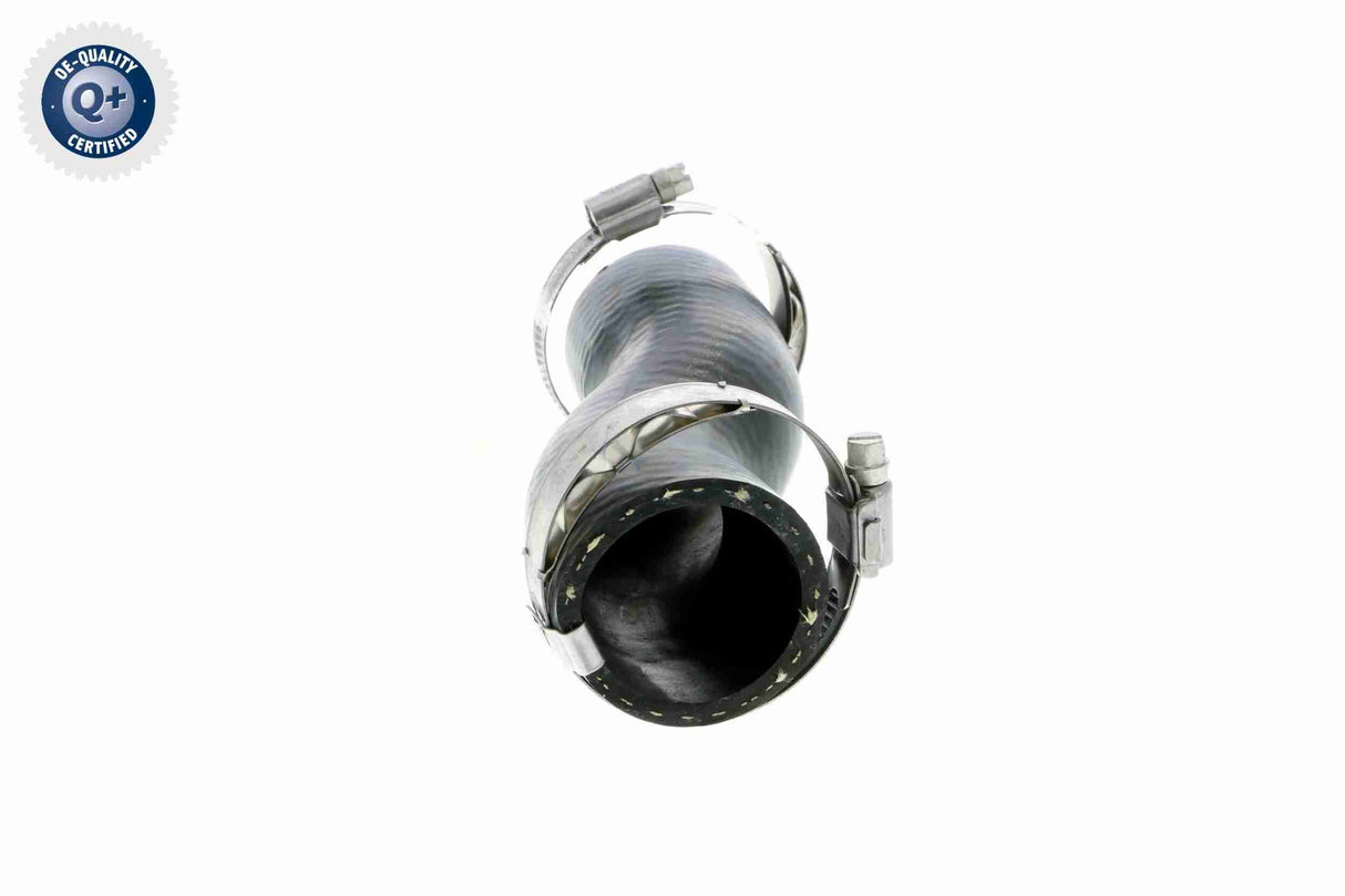 Charge Air Hose - V10-3790