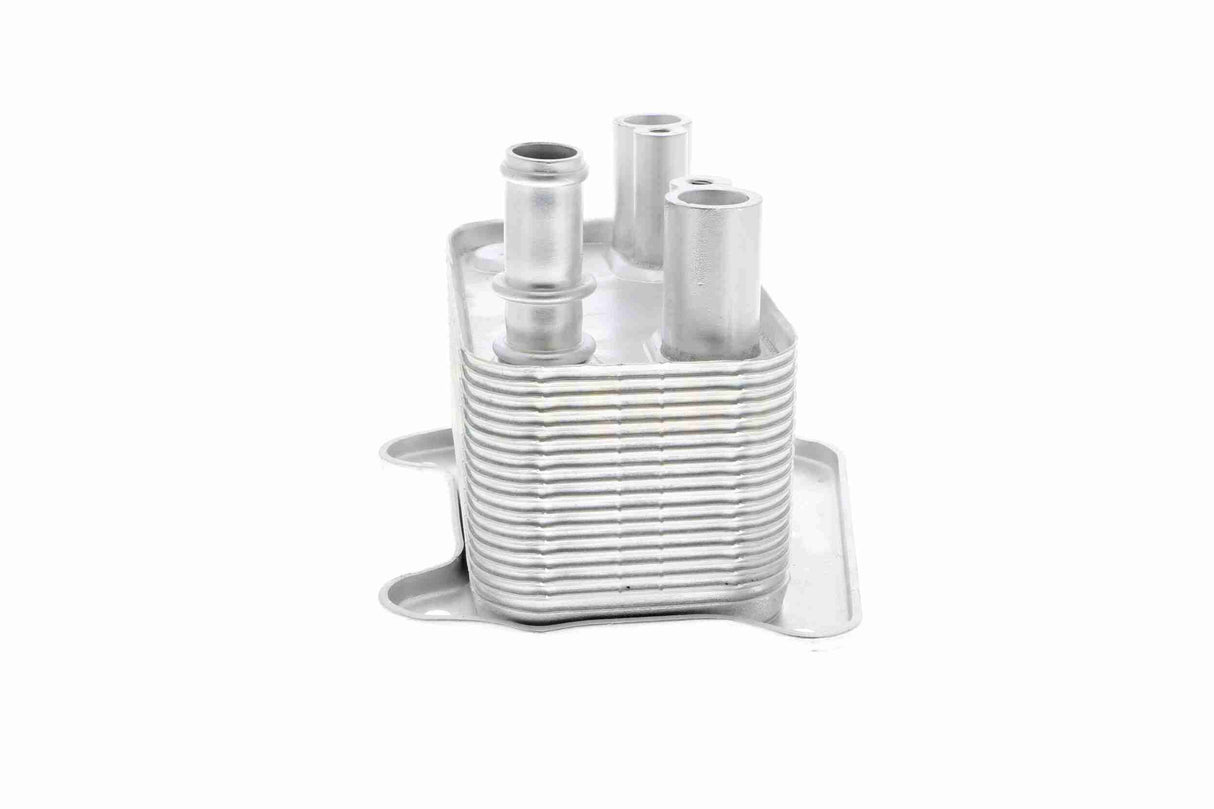 Oil Cooler, engine oil - V30-60-1320