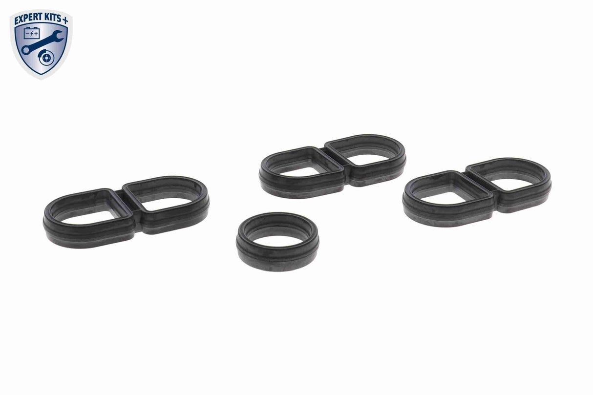 Oil Cooler, engine oil - V10-60-0066