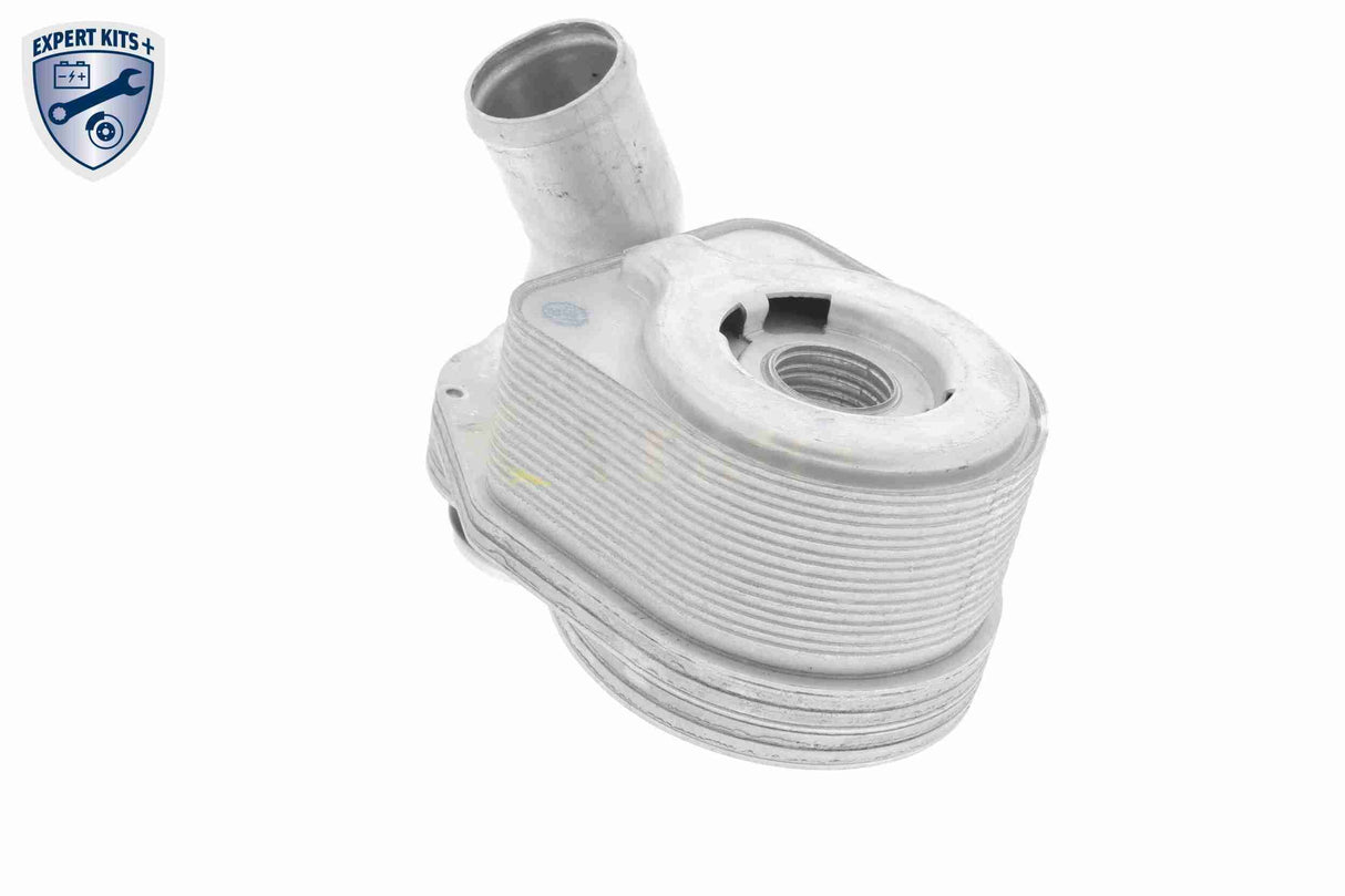 Oil Cooler, engine oil - V24-60-0011