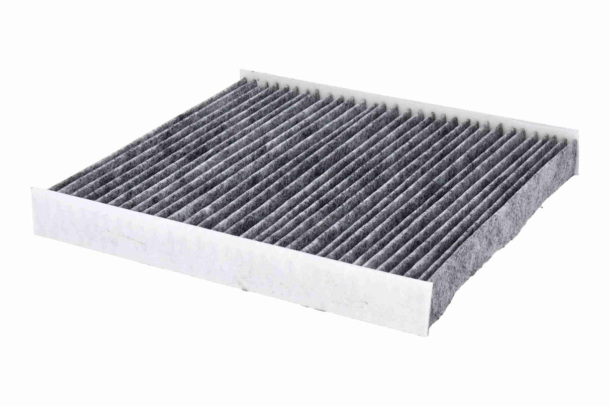 Filter, cabin air - V10-31-0003