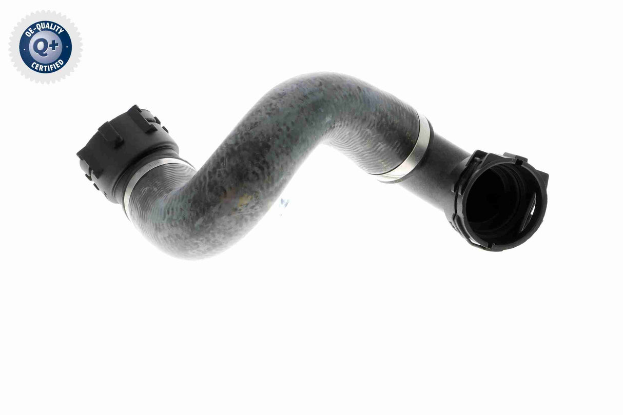 Radiator Hose - V20-1780