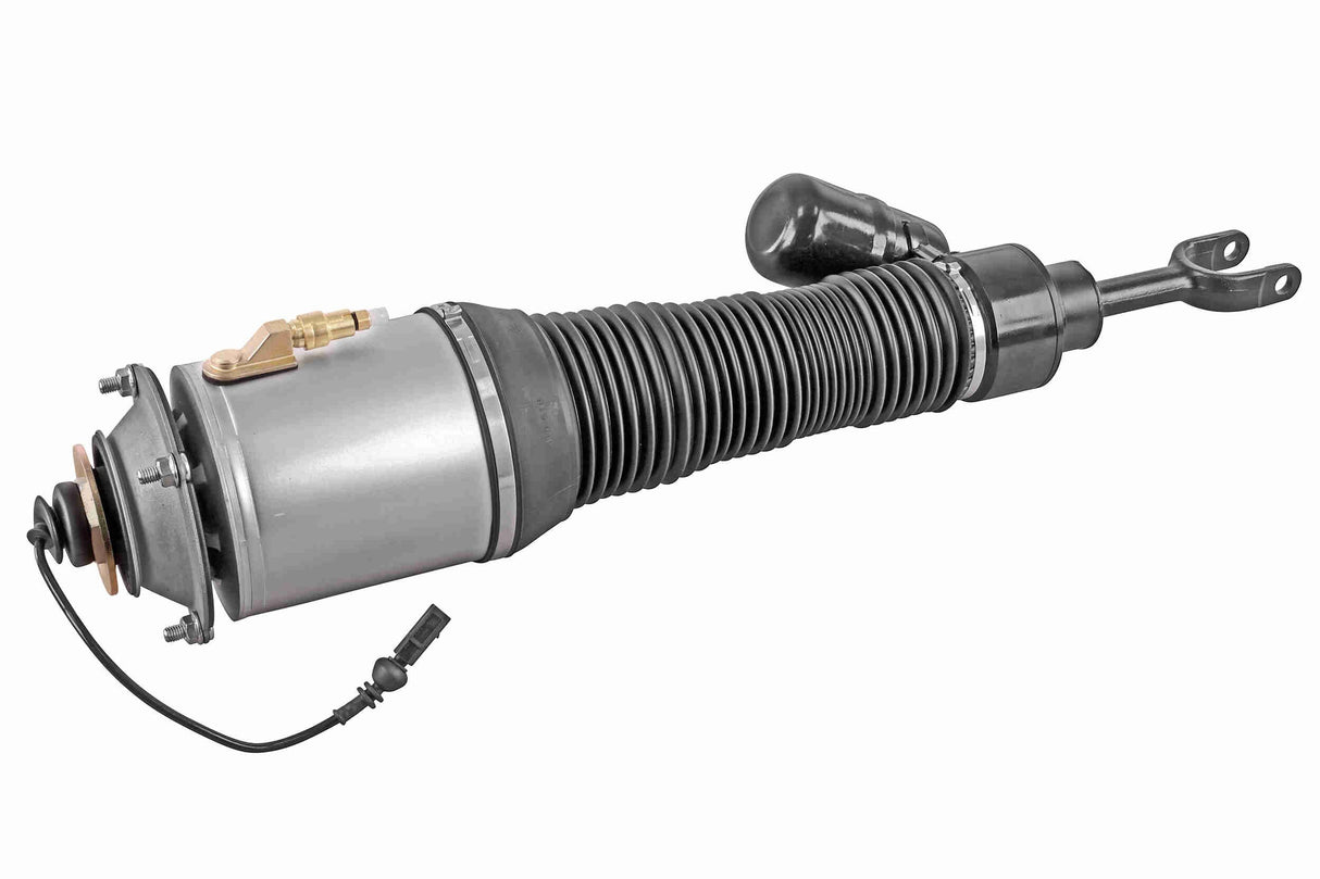Air Suspension Strut - V10-50-0019