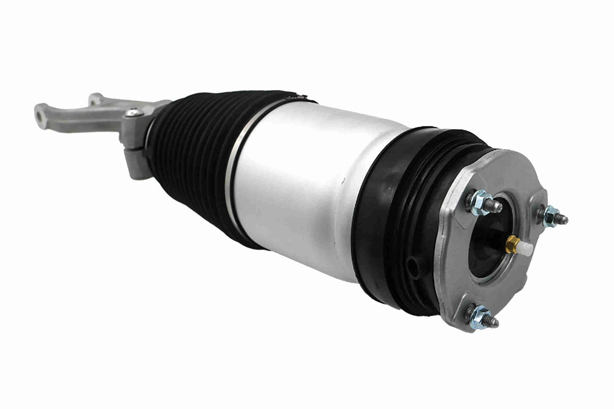 Air Suspension Strut - V58-50-0004