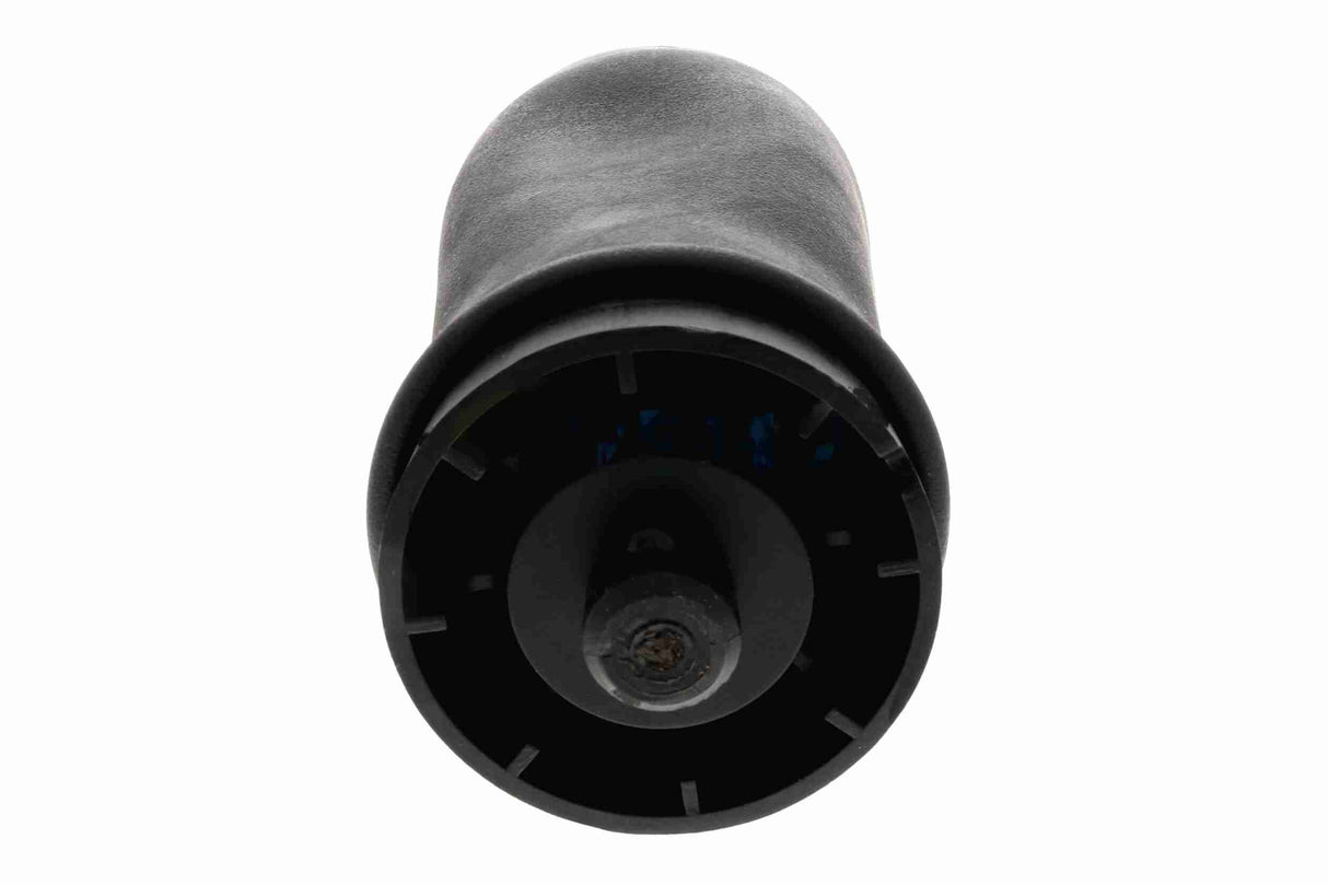 Air Suspension Strut - V20-50-0004-1