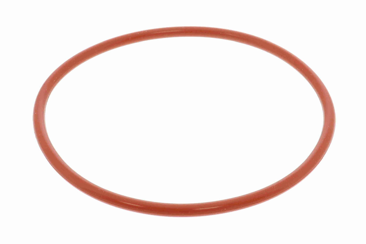 Fuel Filter - V24-1322