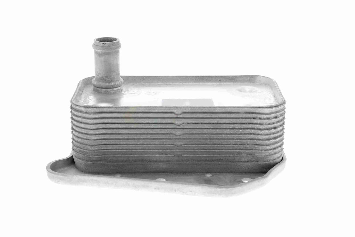 Oil Cooler, engine oil - V30-60-1323