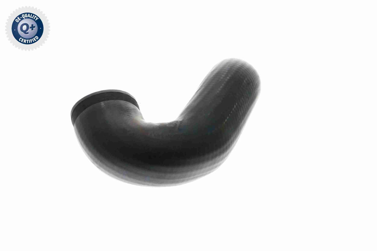 Charge Air Hose - V10-3813