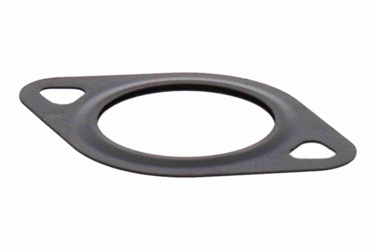 Gasket, EGR valve - V10-99-0007