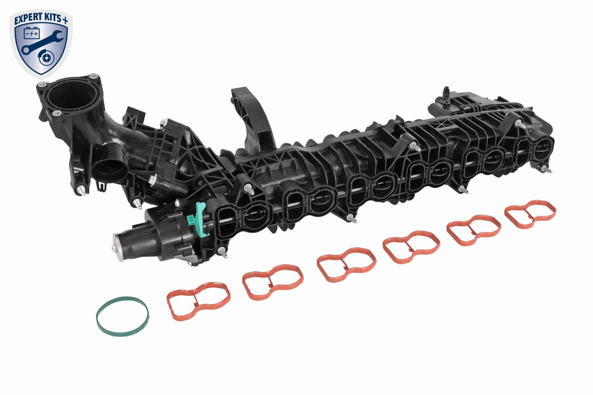 Intake Manifold Module - V20-4954