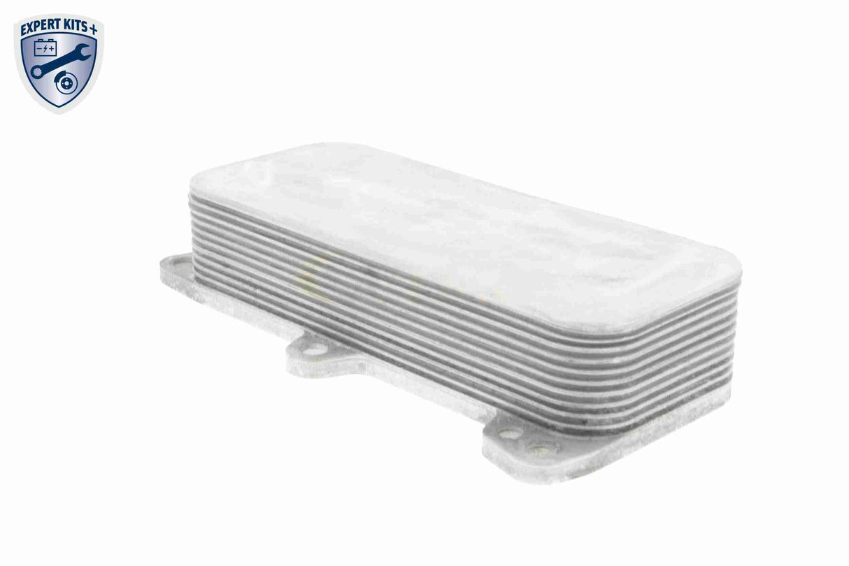 Oil Cooler, engine oil - V15-60-6017