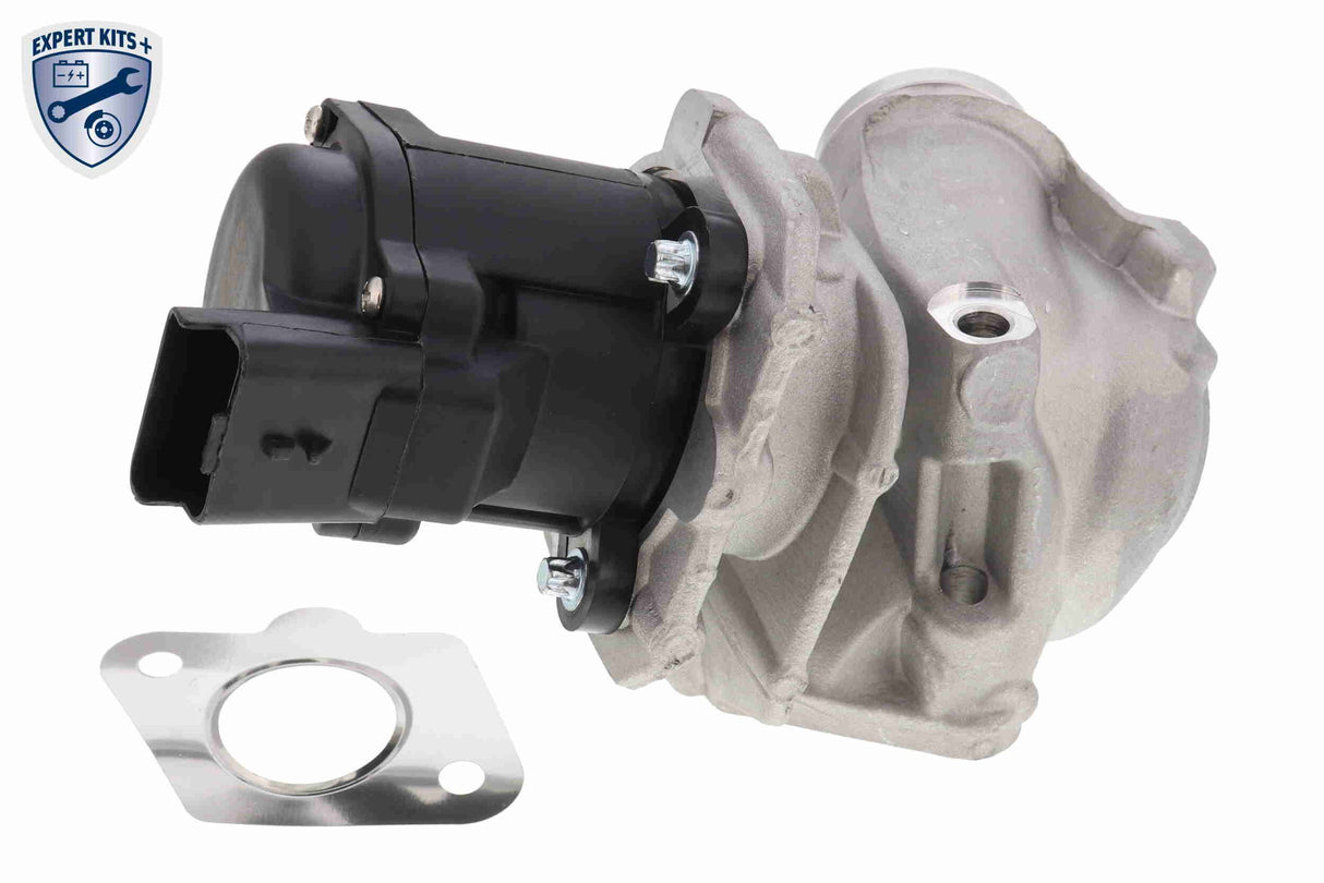 Valve, exhaust gas recirculation - V42-63-0002