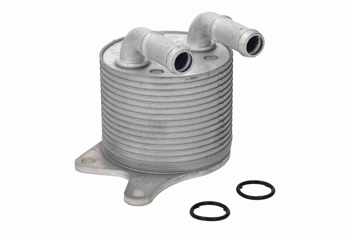Oil Cooler, automatic transmission - V20-60-0109