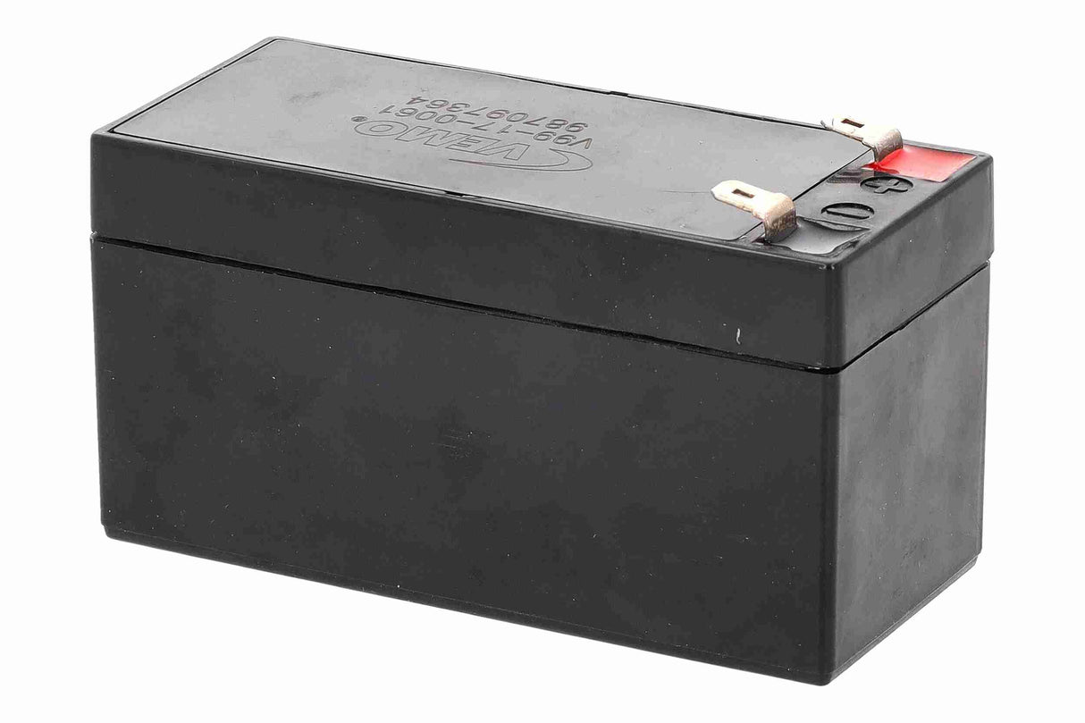 Deep Cycle Battery - V99-17-0061