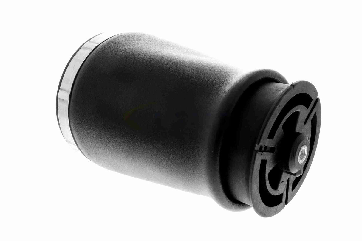 Air Suspension Strut - V20-50-0018-1