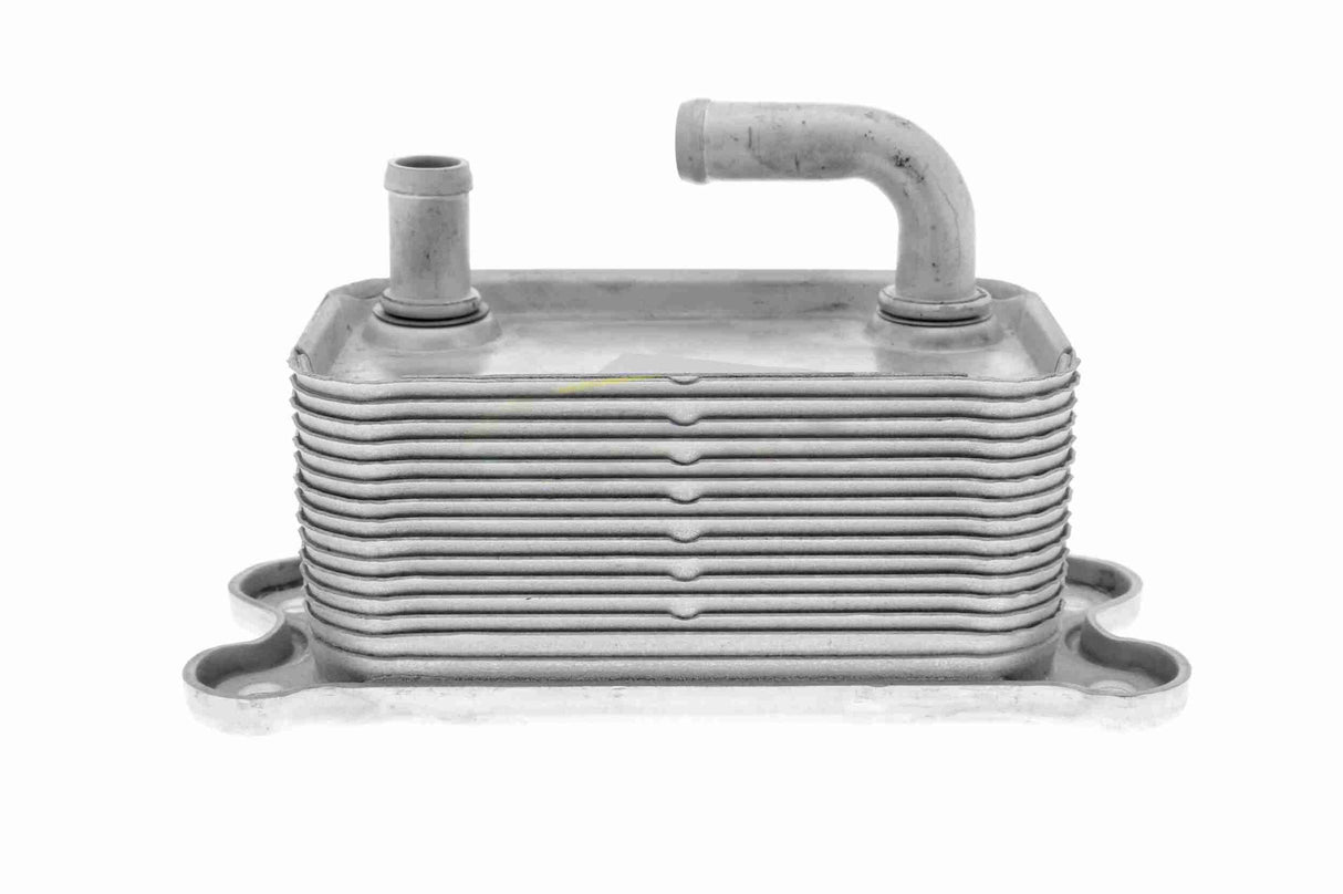 Oil Cooler, engine oil - V95-60-0011