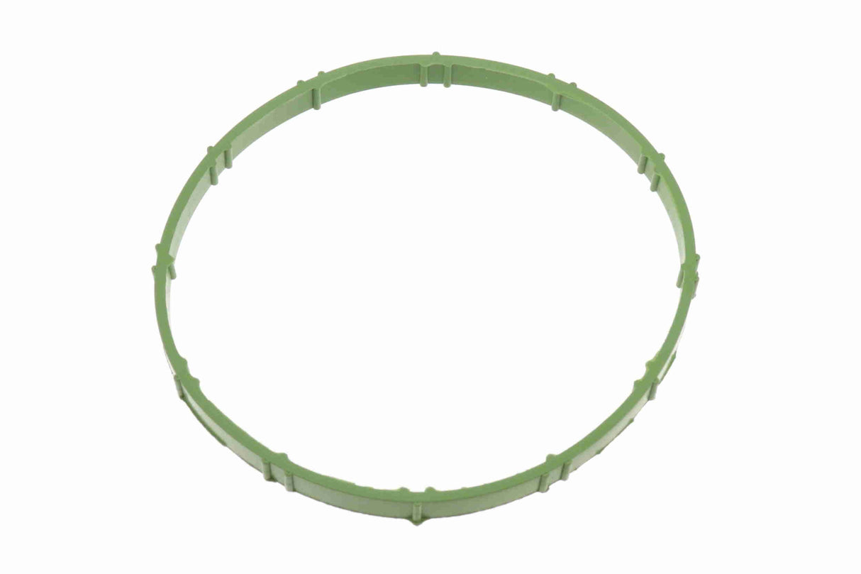 Gasket, throttle body - V20-81-0048