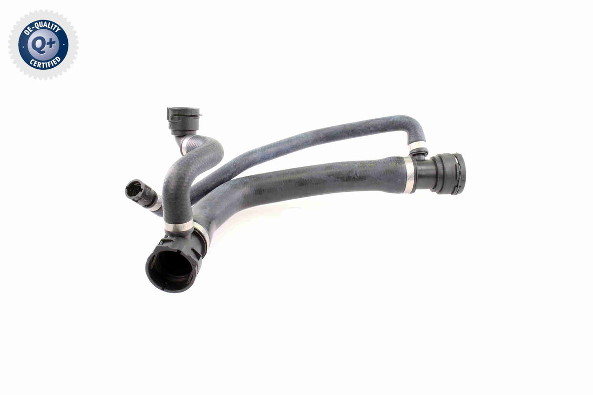 Radiator Hose - V20-1299