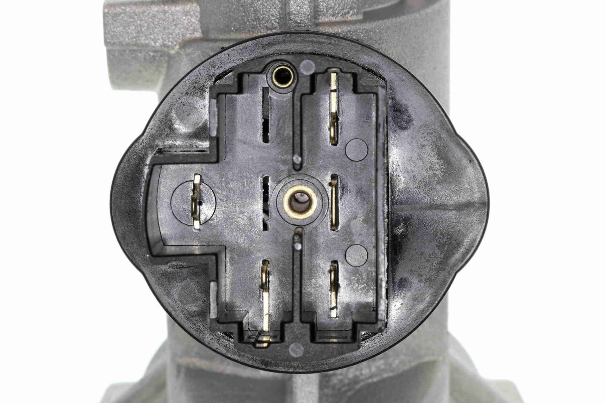 Steering Lock - V24-1263