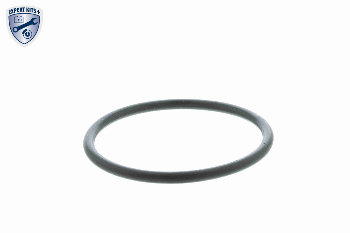 Thermostat, coolant - V15-99-2058