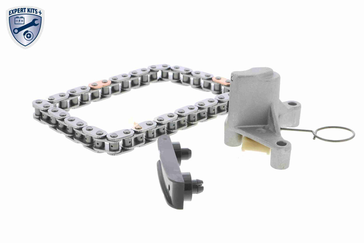 Timing Chain Kit - V25-10002-BEK