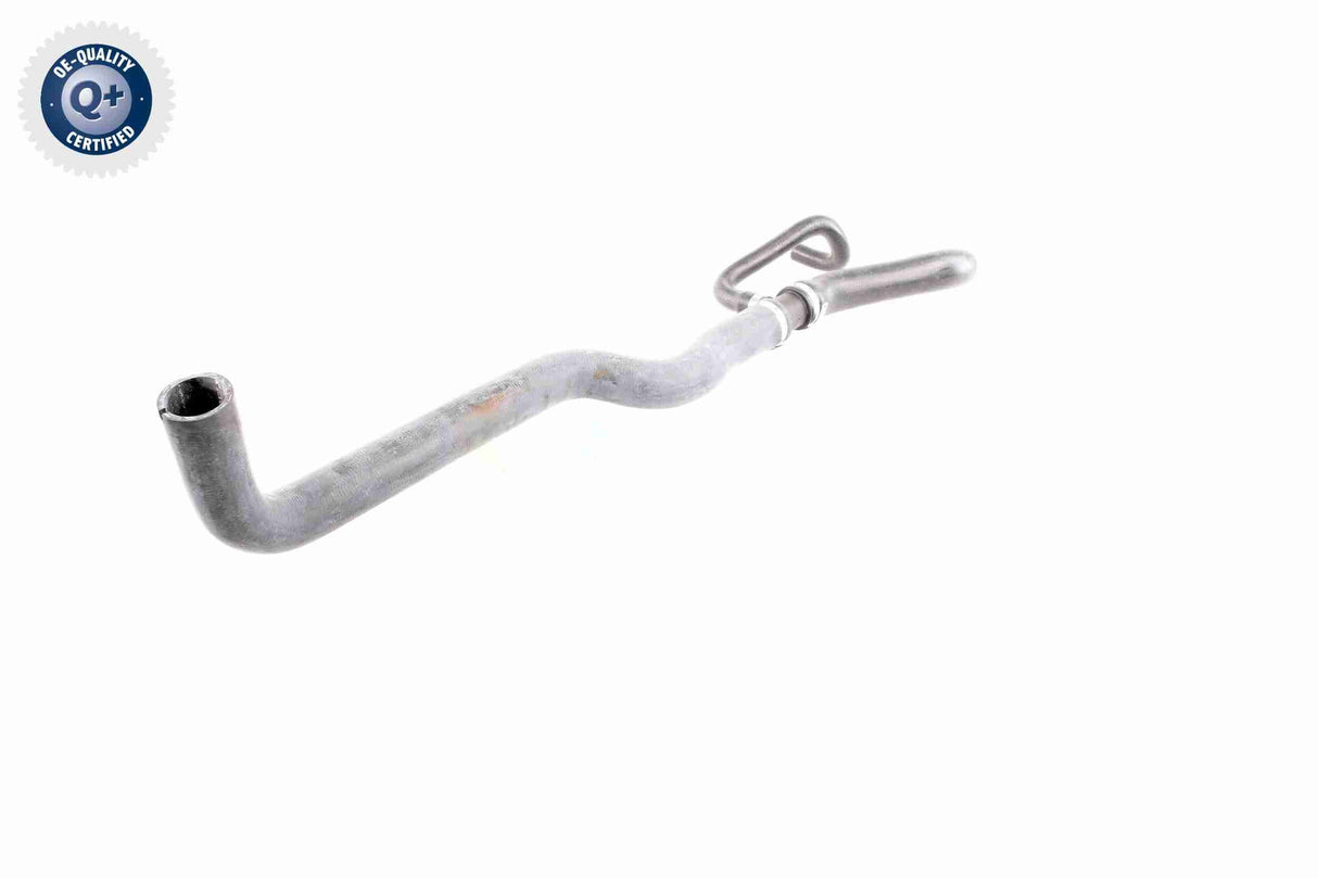 Radiator Hose - V24-0871