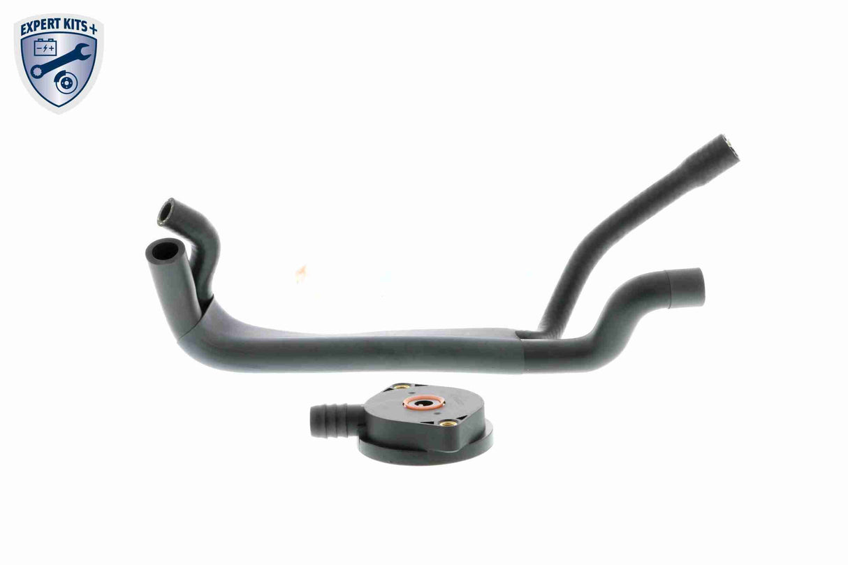 Repair Kit, crankcase ventilation - V20-1920