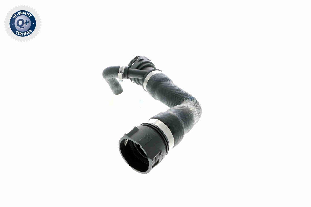 Radiator Hose - V20-1271